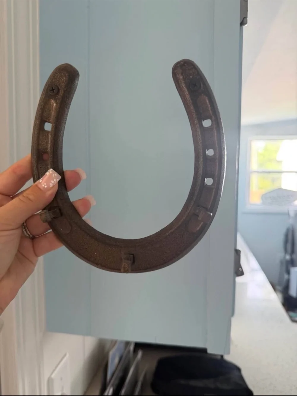 Vintage Iron Horseshoe key rack - Rustic Black Decor